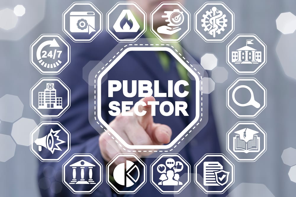 Public,Sector,Government,People,Business,Concept.,Online,Internet,Social,Services.